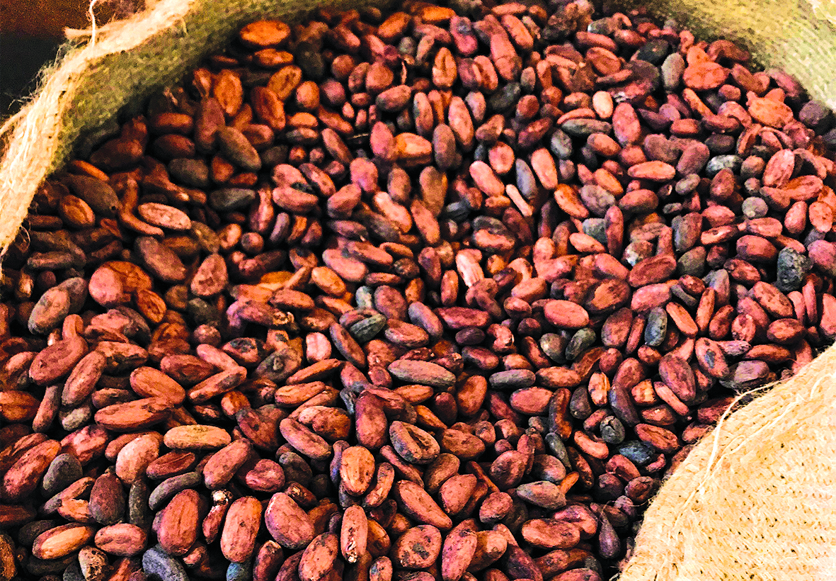ship-cocoa-beans-FCC-guidelines